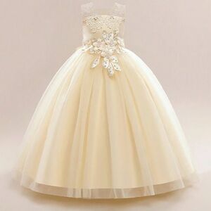 Girl Elegant Long Mesh Dress